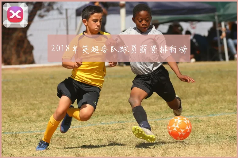 2018年英超各队球员薪资排行榜