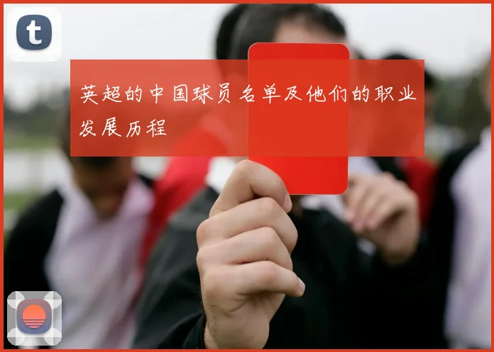 英超的中国球员名单及他们的职业发展历程