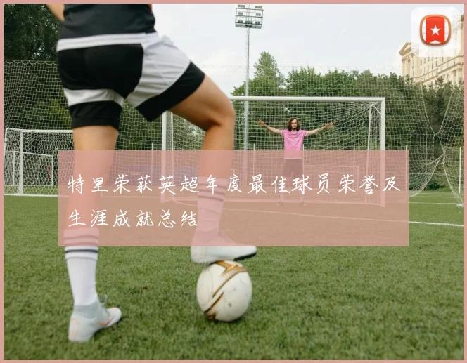 特里荣获英超年度最佳球员荣誉及生涯成就总结