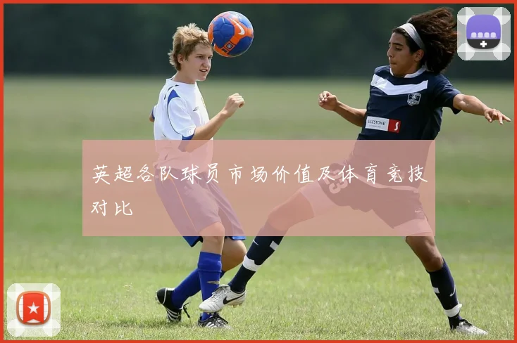 英超各队球员市场价值及体育竞技对比