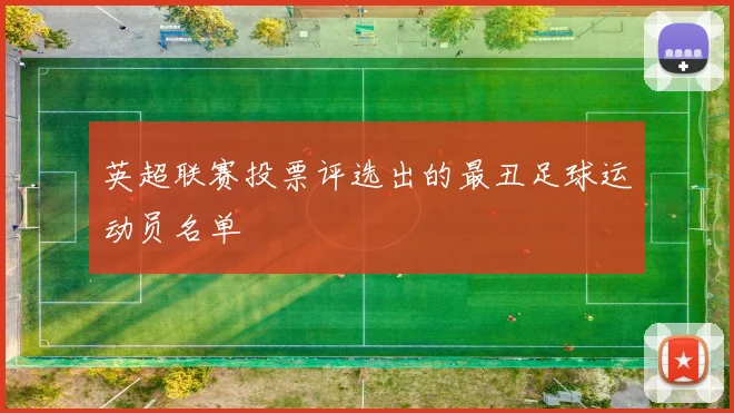 英超联赛投票评选出的最丑足球运动员名单