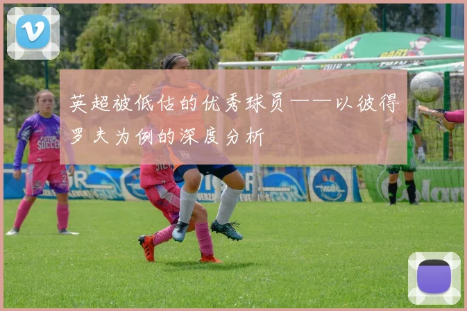 英超被低估的优秀球员——以彼得罗夫为例的深度分析