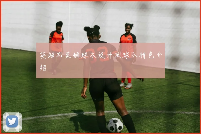 英超布莱顿球衣设计及球队特色介绍